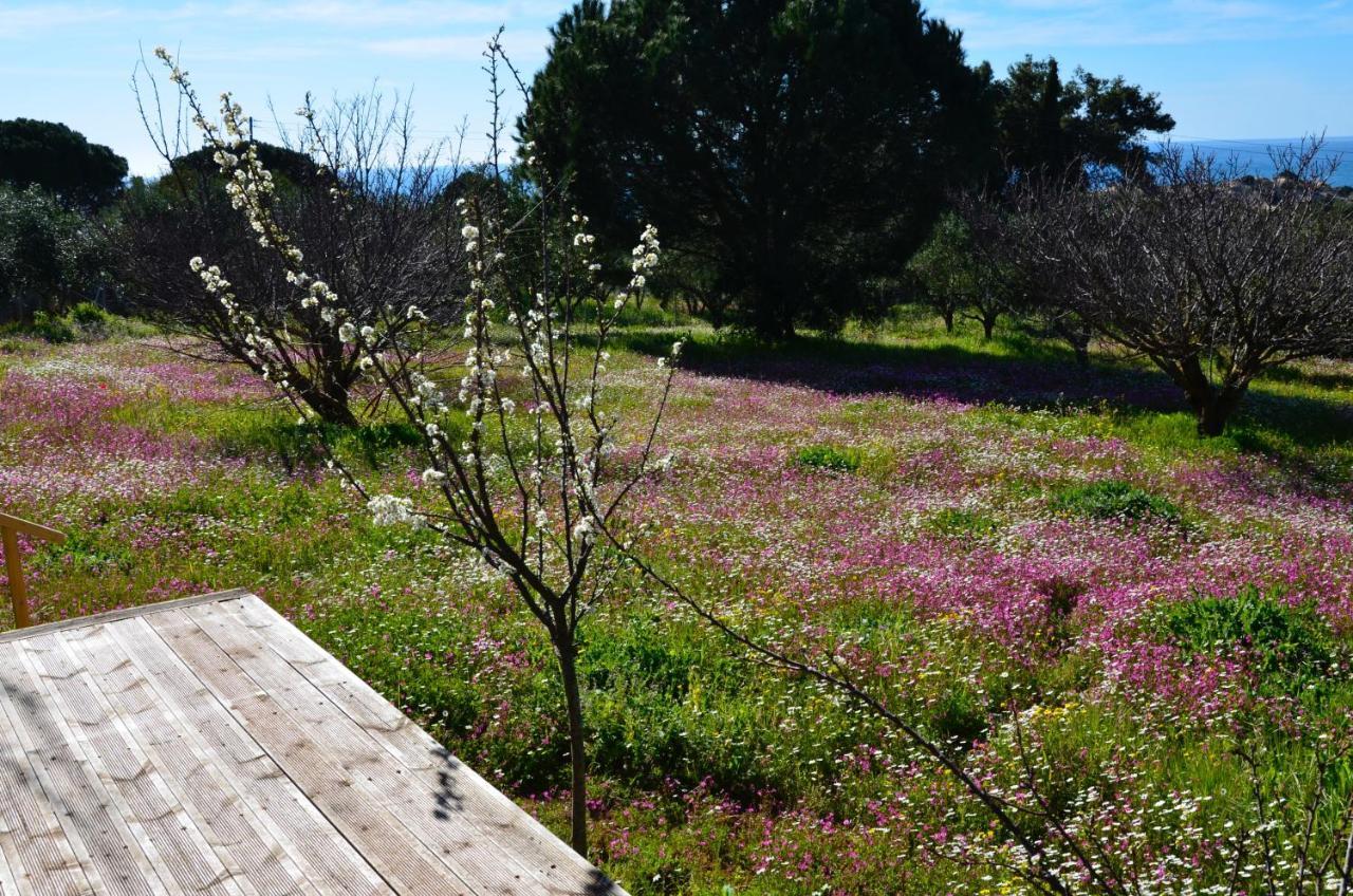 Villa Aliki Petrochori  Eksteriør bilde
